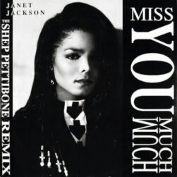 Miss You Much (The Shep Pettibone Remixes) (12") - Germany